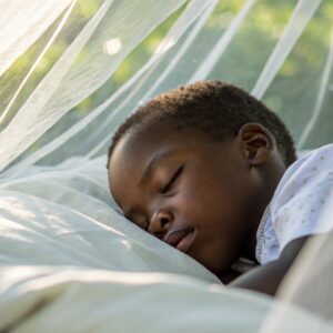 Health | Mosquito Nets
