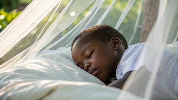 Health | Mosquito Nets